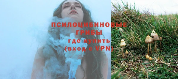 ПСИЛОЦИБИНОВЫЕ ГРИБЫ Абинск