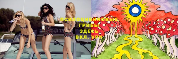 круглые Абаза