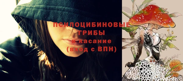 круглые Абаза