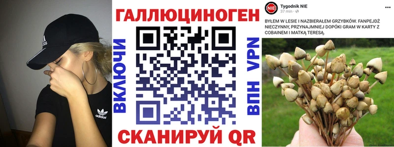 Псилоцибиновые грибы Magic Shrooms  Приморско-Ахтарск 